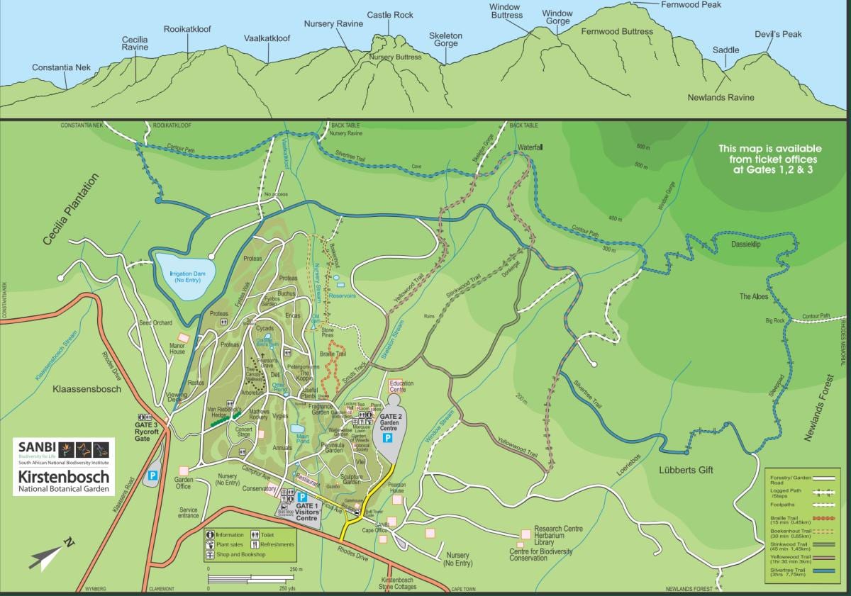 žemėlapis kirstenbosch